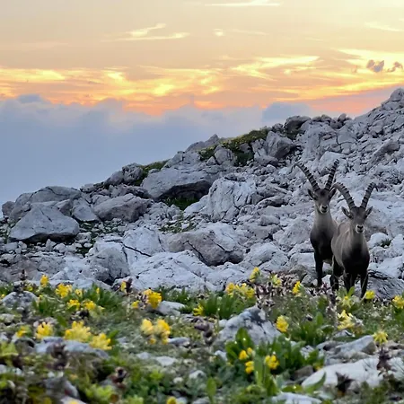 Scheibenhaus Διαμέρισμα Όμπερσντορφ