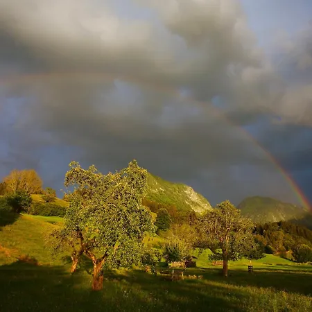 Scheibenhaus * Όμπερσντορφ