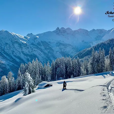 Διαμέρισμα Scheibenhaus *