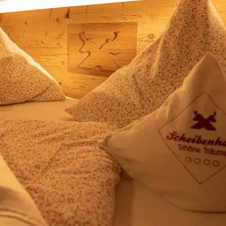Scheibenhaus アパート