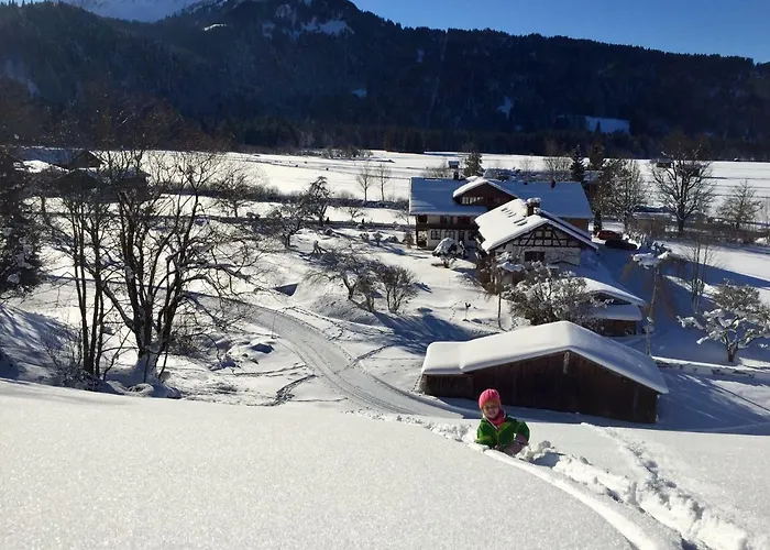 Scheibenhaus Appartement